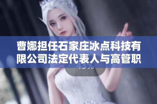 曹娜擔任石家莊冰點科技有限公司法定代表人與高管職責解析