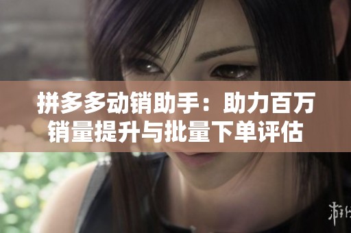 拼多多動銷助手：助力百萬銷量提升與批量下單評估