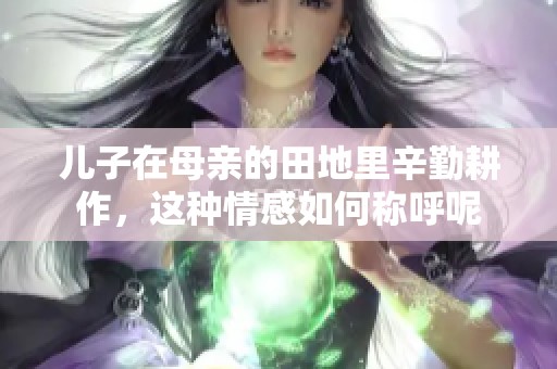 兒子在母親的田地里辛勤耕作，這種情感如何稱呼呢