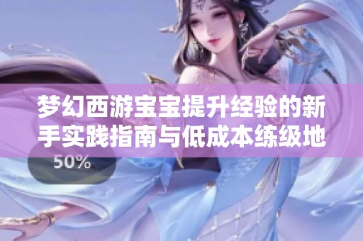 夢幻西游寶寶提升經(jīng)驗的新手實踐指南與低成本練級地點推薦