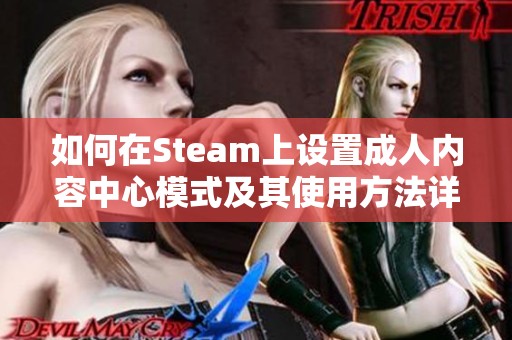 如何在Steam上設(shè)置成人內(nèi)容中心模式及其使用方法詳解