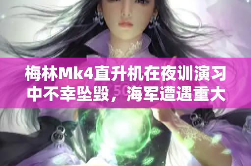 梅林Mk4直升機在夜訓演習中不幸墜毀，海軍遭遇重大損失