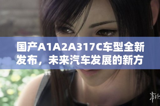 國(guó)產(chǎn)A1A2A317C車型全新發(fā)布，未來(lái)汽車發(fā)展的新方向