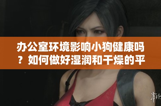 辦公室環(huán)境影響小狗健康嗎？如何做好濕潤和干燥的平衡