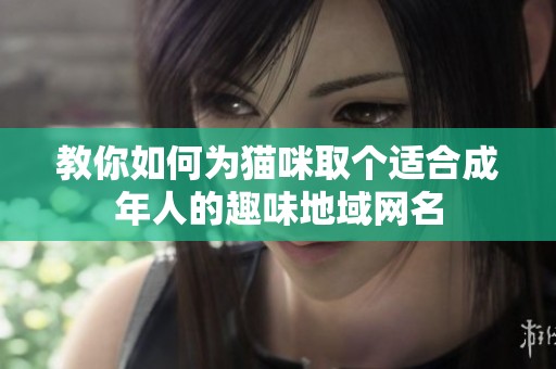 教你如何為貓咪取個適合成年人的趣味地域網(wǎng)名
