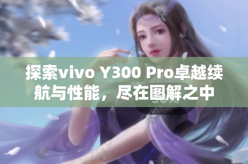 探索vivo Y300 Pro卓越續(xù)航與性能，盡在圖解之中