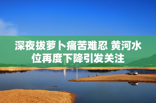 深夜拔蘿卜痛苦難忍 黃河水位再度下降引發(fā)關注