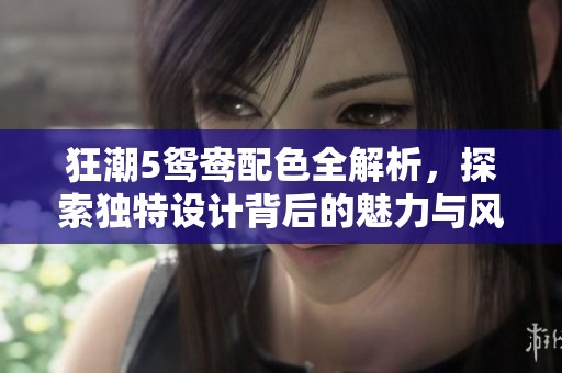 狂潮5鴛鴦配色全解析<div   id=