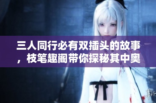 三人同行必有雙插頭的故事，枝筆趣閣帶你探秘其中奧秘