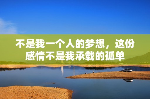 不是我一個人的夢想，這份感情不是我承載的孤單
