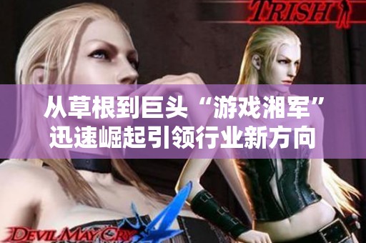 從草根到巨頭“游戲湘軍”迅速崛起引領(lǐng)行業(yè)新方向