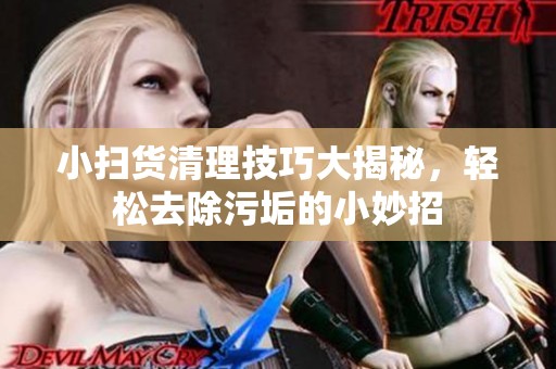 小掃貨清理技巧大揭秘，輕松去除污垢的小妙招