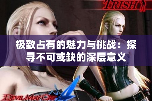 極致占有的魅力與挑戰(zhàn)：探尋不可或缺的深層意義