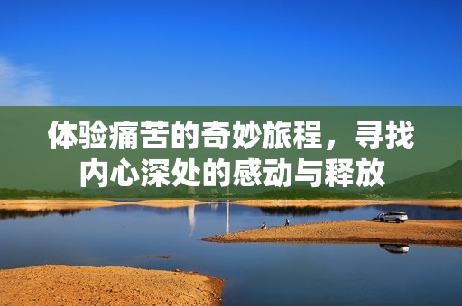 體驗(yàn)痛苦的奇妙旅程，尋找內(nèi)心深處的感動與釋放