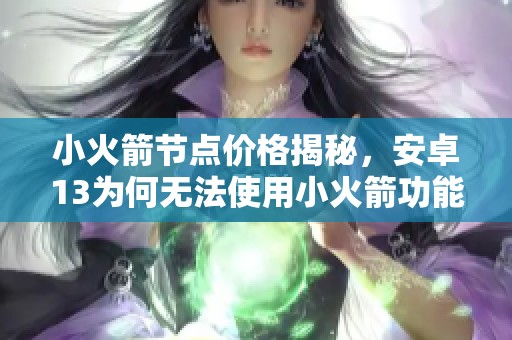 小火箭節(jié)點價格揭秘，安卓13為何無法使用小火箭功能