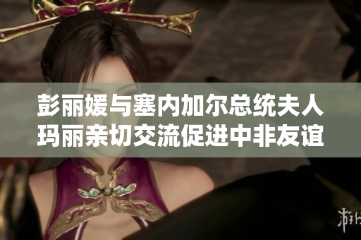 彭麗媛與塞內(nèi)加爾總統(tǒng)夫人瑪麗親切交流促進(jìn)中非友誼