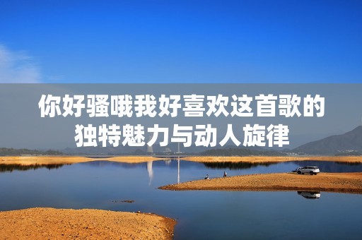 你好騷哦我好喜歡這首歌的獨(dú)特魅力與動(dòng)人旋律