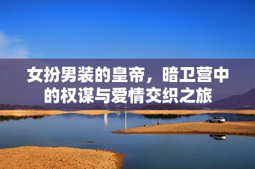 女扮男裝的皇帝，暗衛(wèi)營中的權(quán)謀與愛情交織之旅