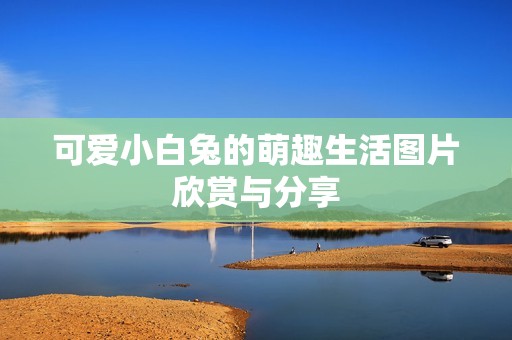 可愛(ài)小白兔的萌趣生活圖片欣賞與分享