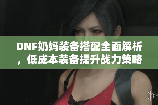 DNF奶媽裝備搭配全面解析，低成本裝備提升戰(zhàn)力策略