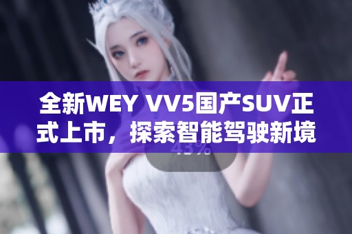 全新WEY VV5國產(chǎn)SUV正式上市，探索智能駕駛新境界