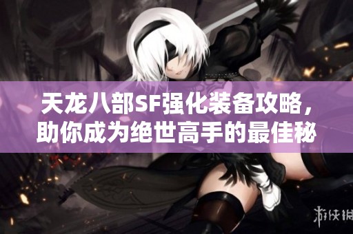 天龍八部SF強(qiáng)化裝備攻略，助你成為絕世高手的最佳秘籍