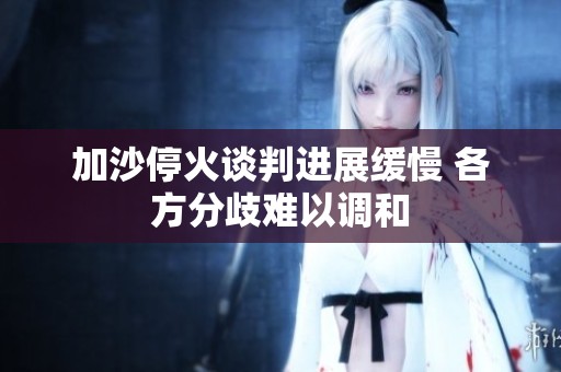 加沙?；鹫勁羞M(jìn)展緩慢 各方分歧難以調(diào)和