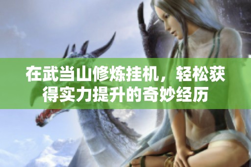 在武當山修煉掛機，輕松獲得實力提升的奇妙經歷