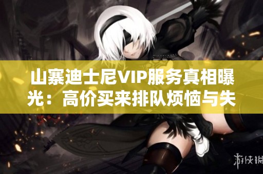 山寨迪士尼VIP服務(wù)真相曝光：高價買來排隊煩惱與失落
