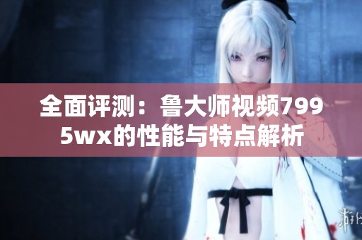 全面評(píng)測：魯大師視頻7995wx的性能與特點(diǎn)解析