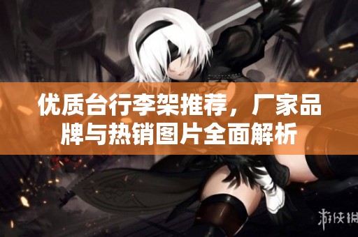 優(yōu)質(zhì)臺(tái)行李架推薦，廠家品牌與熱銷圖片全面解析