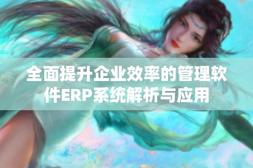 全面提升企業(yè)效率的管理軟件ERP系統(tǒng)解析與應用