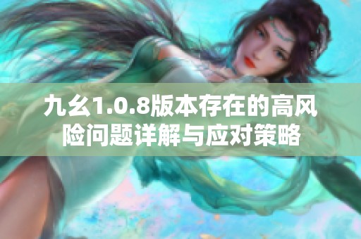 九幺1.0.8版本存在的高風險問題詳解與應對策略