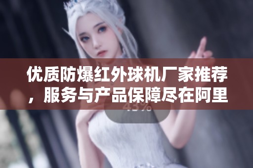 優(yōu)質(zhì)防爆紅外球機(jī)廠家推薦，服務(wù)與產(chǎn)品保障盡在阿里巴巴