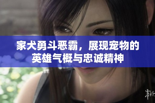 家犬勇斗惡霸，展現(xiàn)寵物的英雄氣概與忠誠精神