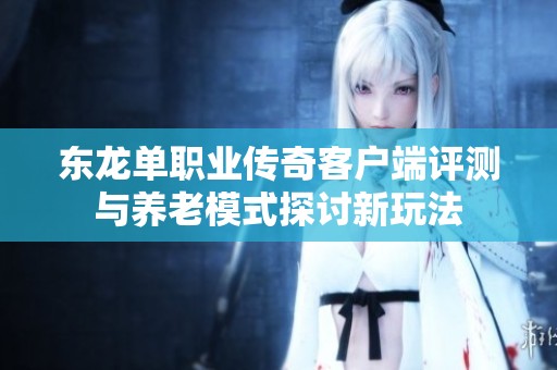 東龍單職業(yè)傳奇客戶端評(píng)測(cè)與養(yǎng)老模式探討新玩法