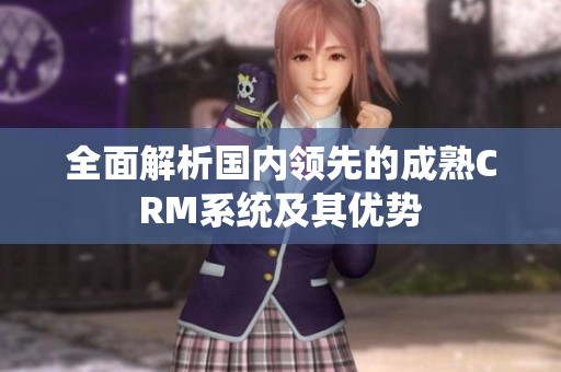 全面解析國內(nèi)領(lǐng)先的成熟CRM系統(tǒng)及其優(yōu)勢