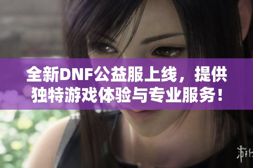 全新DNF公益服上線<div   id=