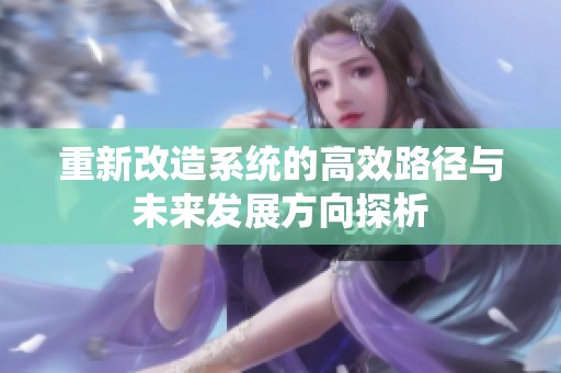 重新改造系統(tǒng)的高效路徑與未來發(fā)展方向探析