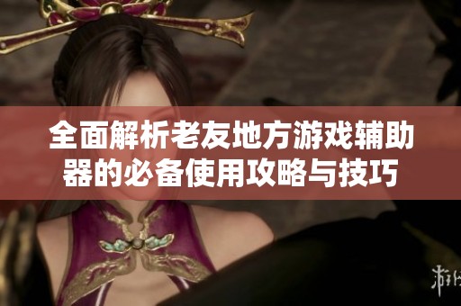 全面解析老友地方游戲輔助器的必備使用攻略與技巧