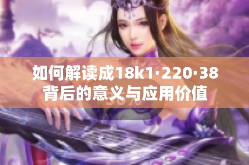 如何解讀成18k1·220·38背后的意義與應(yīng)用價值