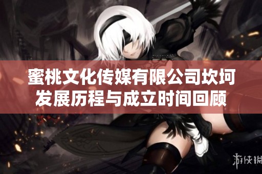 蜜桃文化傳媒有限公司坎坷發(fā)展歷程與成立時(shí)間回顧