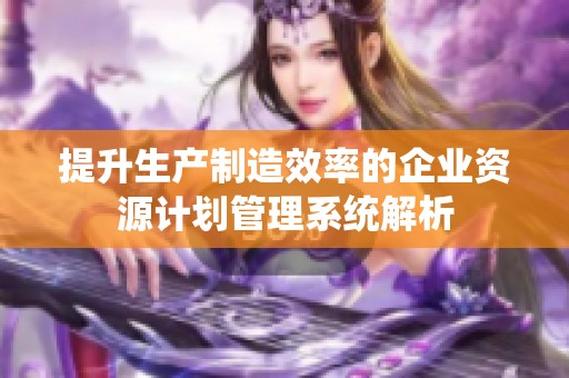 提升生產(chǎn)制造效率的企業(yè)資源計(jì)劃管理系統(tǒng)解析 提升生產(chǎn)制造效率的企業(yè)資源計(jì)劃管理系統(tǒng)解析