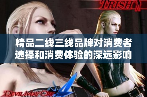 精品二線三線品牌對消費(fèi)者選擇和消費(fèi)體驗(yàn)的深遠(yuǎn)影響