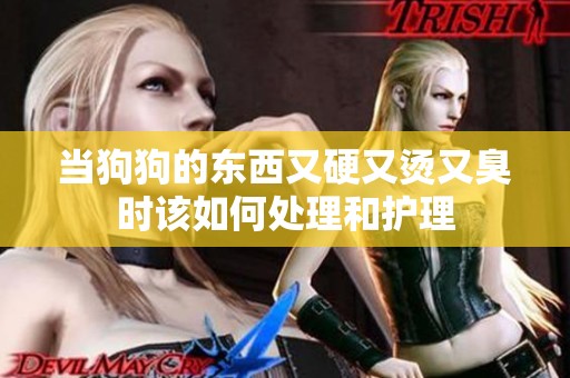 當(dāng)狗狗的東西又硬又燙又臭時(shí)該如何處理和護(hù)理