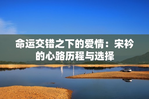 命運(yùn)交錯(cuò)之下的愛情：宋衿的心路歷程與選擇
