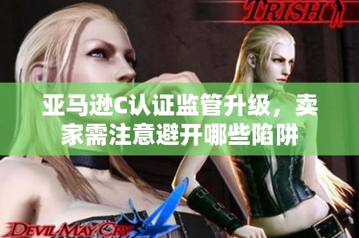 亞馬遜C認證監(jiān)管升級，賣家需注意避開哪些陷阱