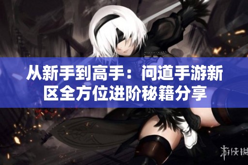 從新手到高手：問道手游新區(qū)全方位進(jìn)階秘籍分享
