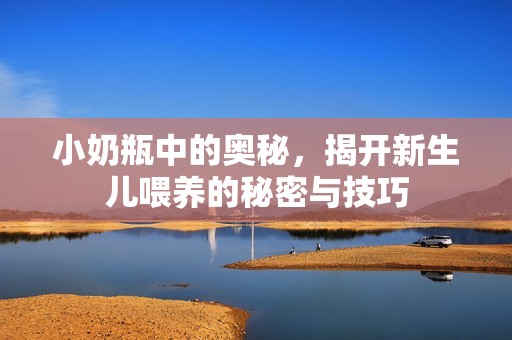 小奶瓶中的奧秘，揭開新生兒喂養(yǎng)的秘密與技巧