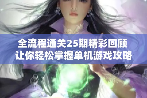 全流程通關25期精彩回顧 讓你輕松掌握單機游戲攻略